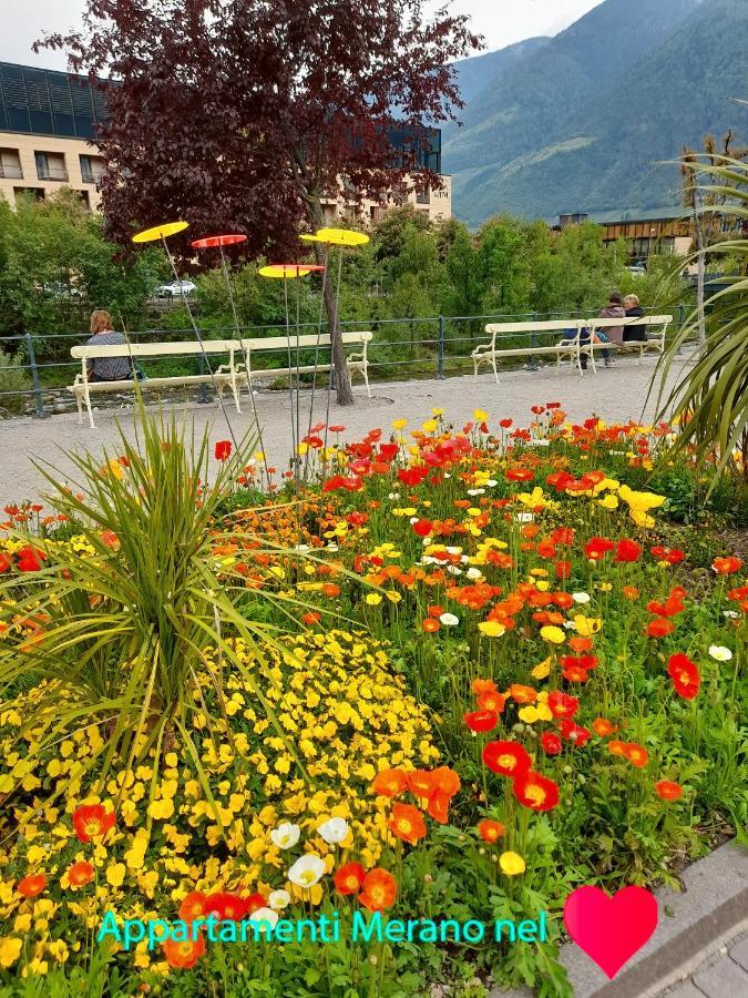 Nel Cuore Meran